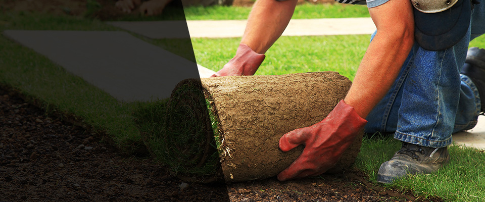 Gustine Landscapers
